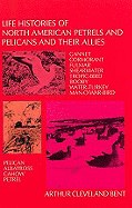 Life Histories of North American Petrels and Pelicans and Their Allies - Bent, Arthur Cleveland