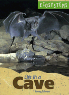 Life in a Cave