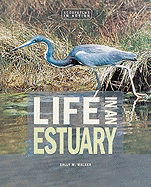 Life in an Estuary - Walker, Sally M