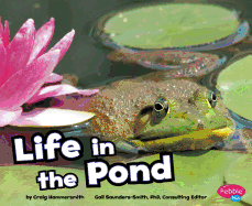 Life in the Pond