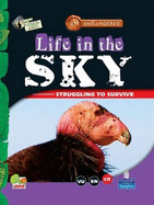 Life in the Sky: Key stage 2