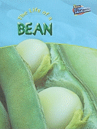 Life of a Broad Bean