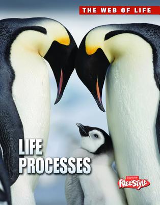 Life Processes - Claybourne, Anna