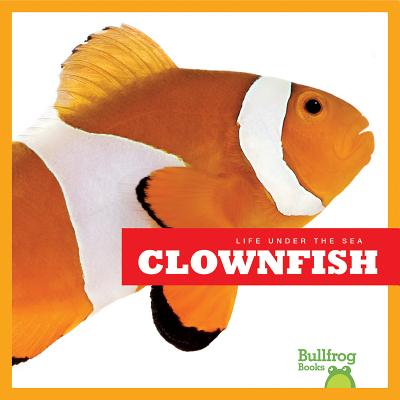Life Under the Sea: Clownfish - Meister, Cari