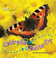 Lifecycles: Caterpillar to Butterfly