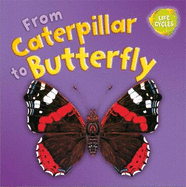 Lifecycles: From Caterpillar to Butterfly