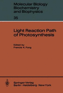 Light reaction path of photosynthesis