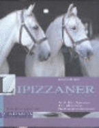 Lipizzaner