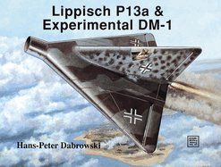 Lippisch P 13a & Experimental DM-1