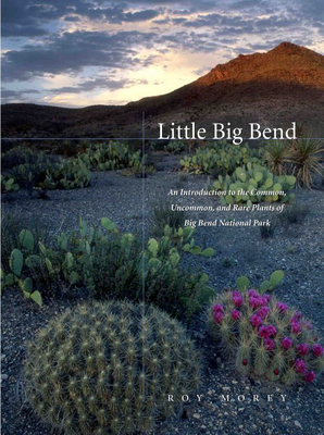 Little Big Bend: Common, Uncommon, and Rare Plants of Big Bend National Park - Morey, Roy
