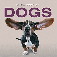 Little Book of Dogs - Stroud, Jon