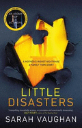 Little Disasters: the compelling and thought-provoking new novel from the author of the Sunday Times bestseller Anatomy of a Scandal