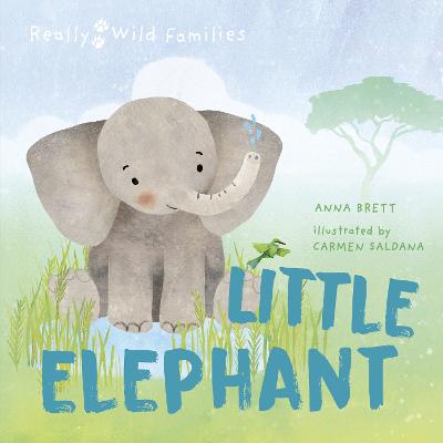 Little Elephant: A Day in the Life of a Elephant Calf - Brett, Anna