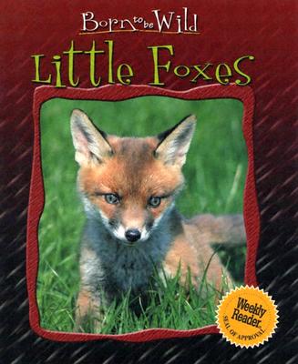 Little Foxes - Chottin, Ariane