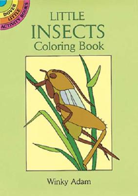 Little Insects Coloring Book - Adam, Winky, and Activity Books