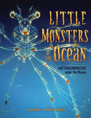 Little Monsters of the Ocean: Metamorphosis Under the Waves - Montgomery, Heather L