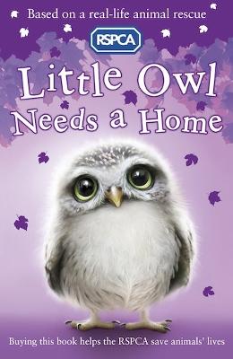 Little Owl Needs a Home - Mongredien, Sue