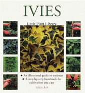 Little Plant Library: Ivies - Key, Hazel