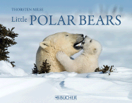 Little Polar Bears
