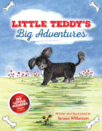 Little Teddy's Big Adventures