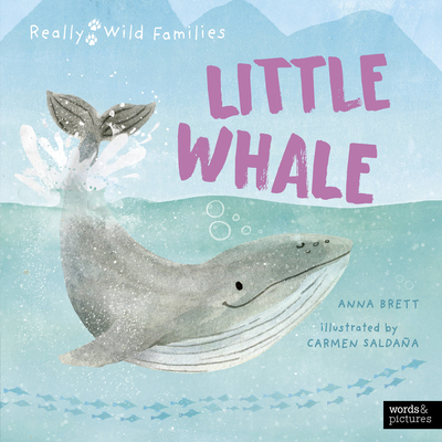 Little Whale: A Day in the Life of a Little Whale - Brett, Anna
