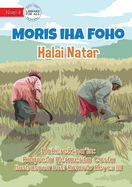 Living In The Village - Rice Cultivation - Moris iha Foho - Halai Natar