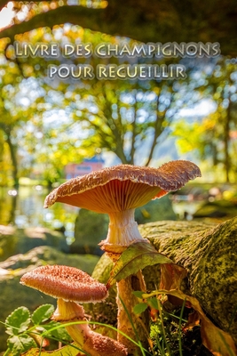 Livre des champignons pour recueillir: Spammerl et champignons - le livre pour les vrais amis de la nature et les cueilleurs de champignons - Journal, Cueilleur de Champignons