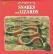 Lizards & Snakes