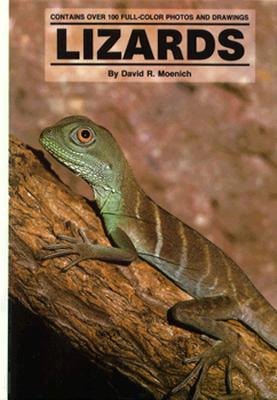 Lizards - Moenich, David