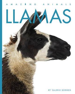 Llamas - Bodden, Valerie