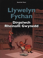 Llywelyn Fychan: Dirgelwch Rheinallt Gwynedd