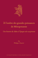 ? l'Ombre Des Grandes Puissances de M?sopotamie: Une Histoire Du S hu ? l'?poque N?o-Assyrienne