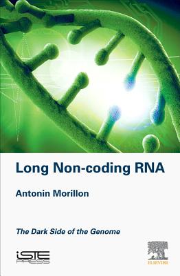 Long Non-coding RNA: The Dark Side of the Genome - Morillon, Antonin