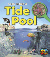 Look Inside a Tide Pool