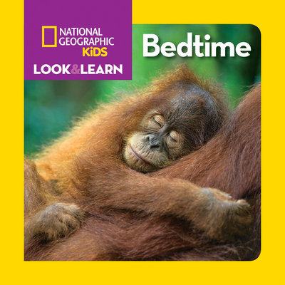 Look & Learn: Bedtime - Musgrave, Ruth A