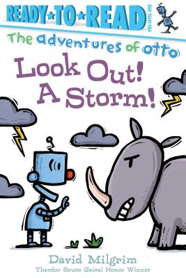 Look Out! a Storm!: Ready-To-Read Pre-Level 1 - 