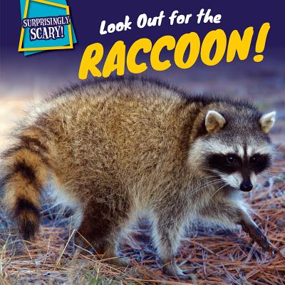 Look Out for the Raccoon! - McAneney, Caitie