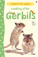 Looking After Gerbils