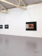 Looking at Display: Images of Contemporary Art in London Galleries