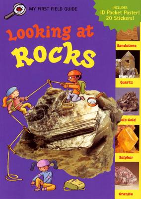 Looking at Rocks - Dussling, Jennifer A