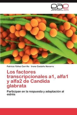 Los Factores Transcripcionales A1, Alfa1 y Alfa2 de Candida Glabrata - Y߱ez Carrillo Patricia, and Castao Navarro Irene