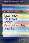 Lossy Image Compression: Domain Decomposition-Based Algorithms