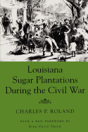 Louisiana Sugar Plantations During the Civil War