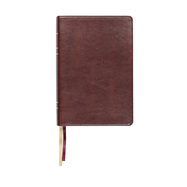 Lsb Large Print Wide Margin Paste-Down Reddish-Brown Faux Leather