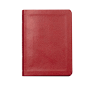 Lsb New Testament with Psalms and Proverbs, Burgundy Faux Leather: Legacy Standard Bible
