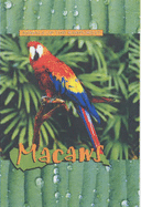 Macaws