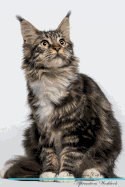 Maine Coon Cat Affirmations Workbook Maine Coon Cat Presents: Positive and Loving Affirmations Workbook. Includes: Mentoring Questions, Guidance, Supporting You.