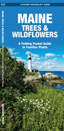 Maine Trees & Wildflowers: A Folding Pocket Guide to Familiar Plants