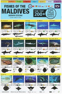 Maldives Fish Field Guide "Top 200+"