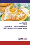 Male Bud Characteristics in Different Banana Genotypes